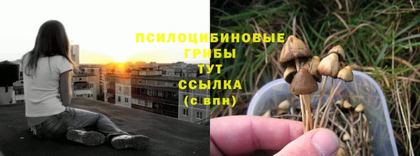 прущие крисы Алзамай