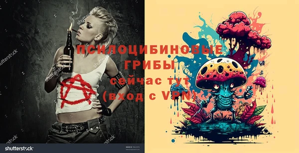 ALPHA-PVP Алексеевка