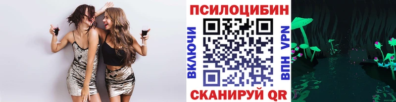 Галлюциногенные грибы Cubensis  купить наркоту  Кирс 